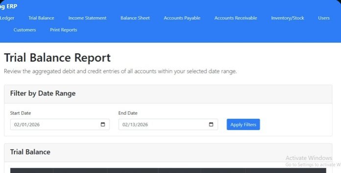 Simple accounting ERP — trial balance report